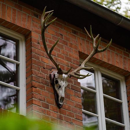 Wald- Und Seeidyll Im Historischen Forsthaus Neuruppin Ngoại thất bức ảnh